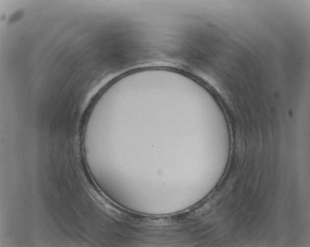 X0000062141460200512161205