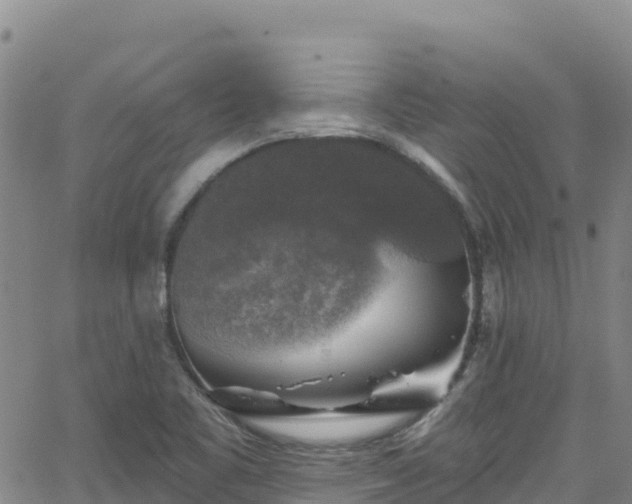 X0000062141461200512161205