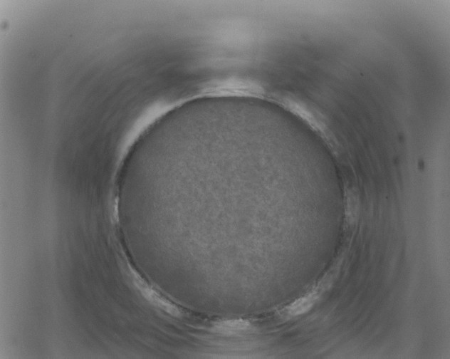 X0000062141462200512161205