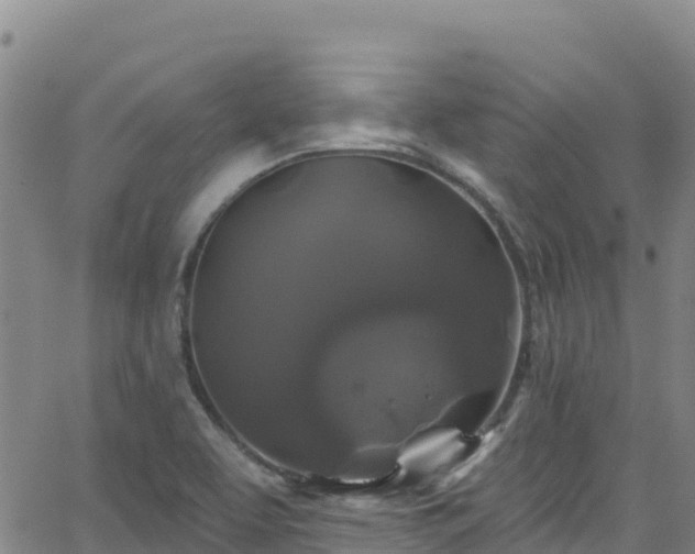 X0000062141463200512161205