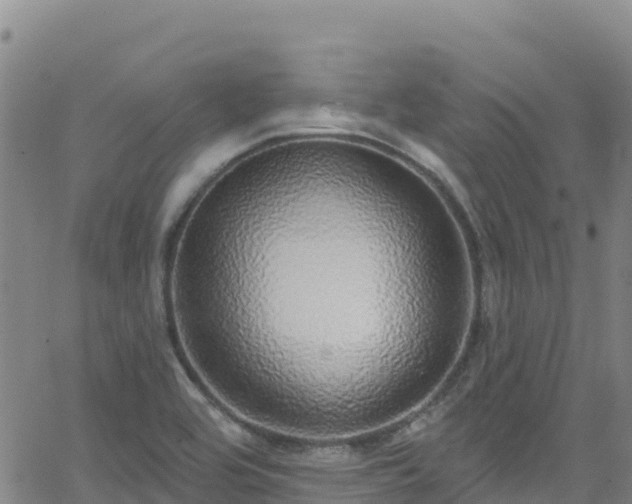 X0000062141464200512161205