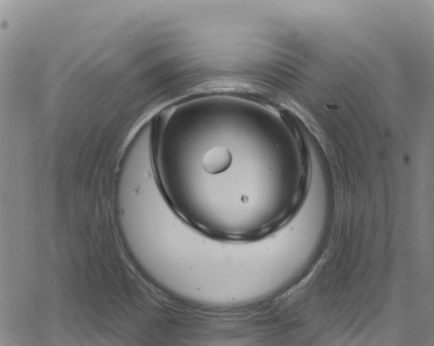 X0000062141465200512161205