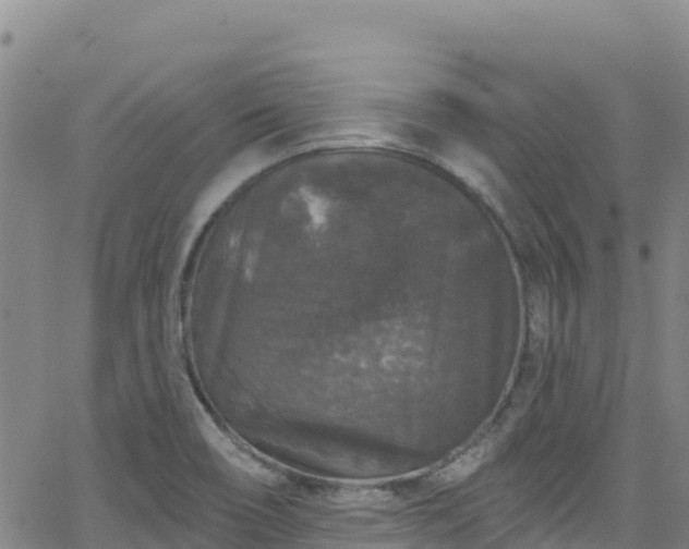 X0000062141466200512161205