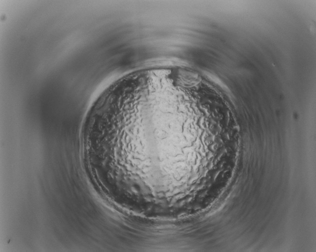 X0000062141467200512161205