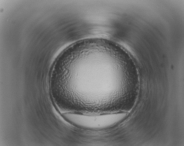 X0000062141468200512161205