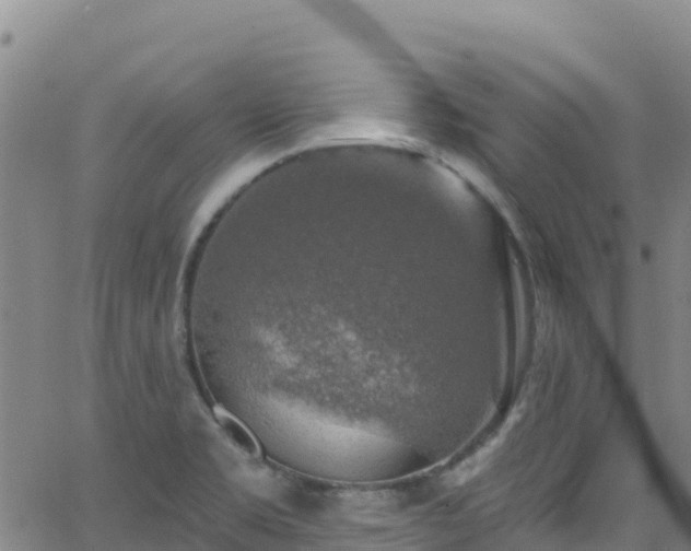 X0000062141469200512161205