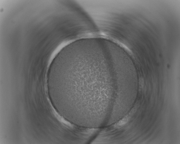 X0000062141470200512161205