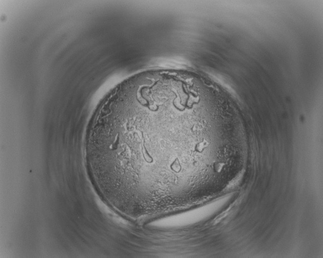 X0000062141471200512161205