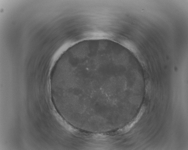 X0000062141472200512161205