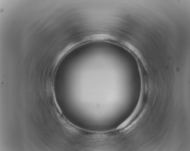 X0000062141473200512161205