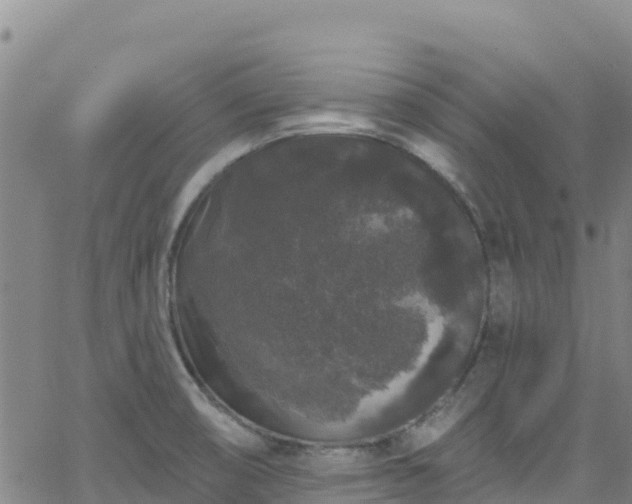 X0000062141474200512161205