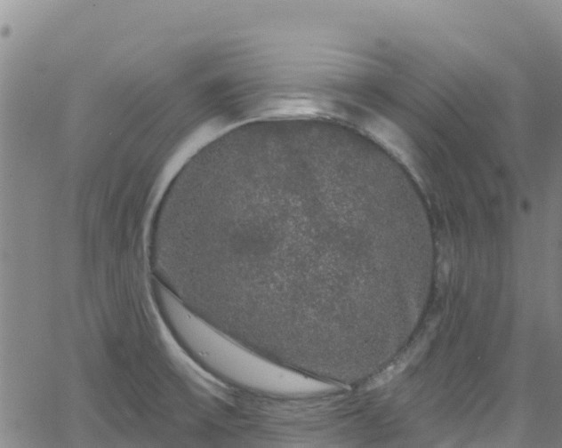 X0000062141475200512161205