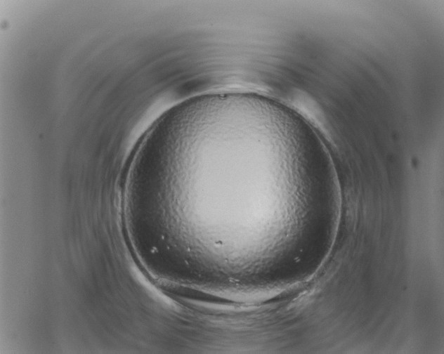 X0000062141476200512161205