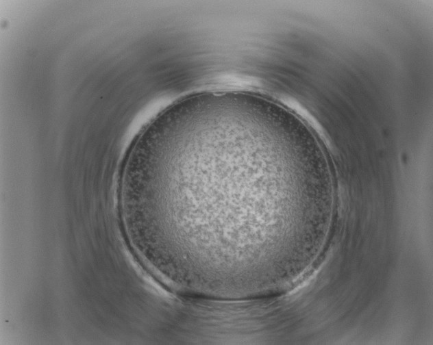 X0000062141477200512161205