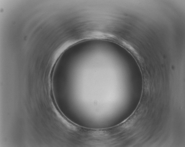 X0000062141479200512161205