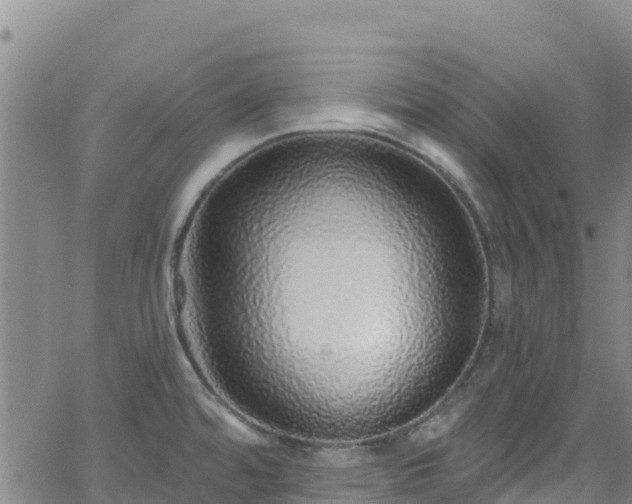 X0000062141480200512161205