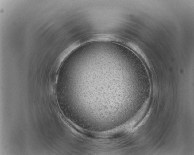 X0000062141481200512161205