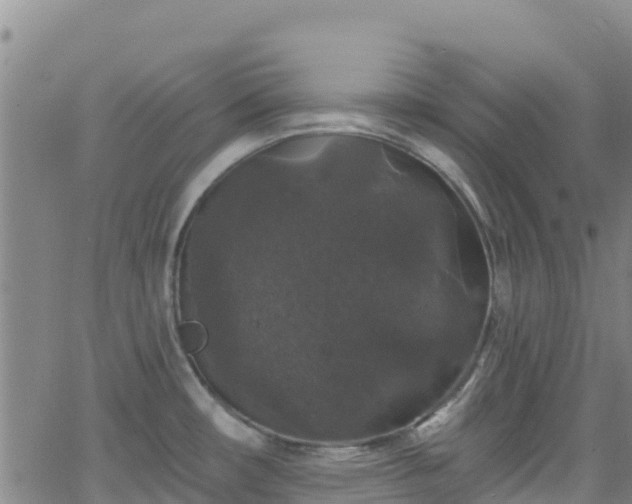 X0000062141482200512161205