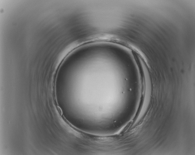 X0000062141483200512161205