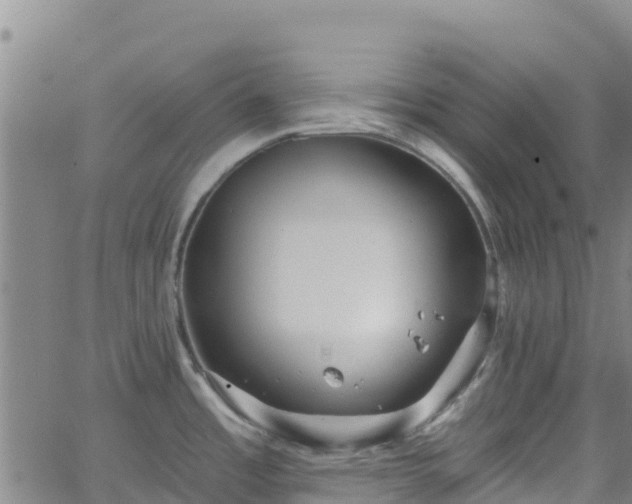 X0000062141485200512161205