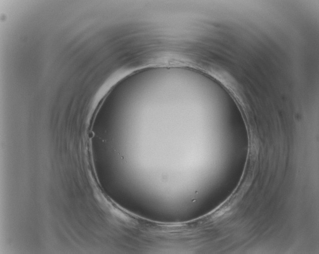 X0000062141486200512161205