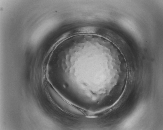 X0000062141487200512161205