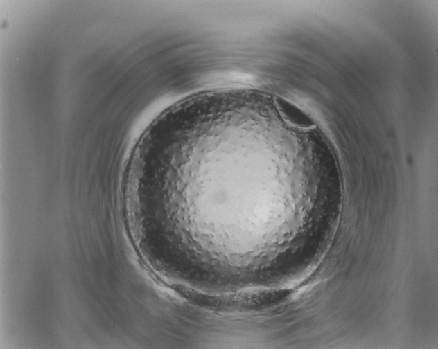 X0000062141488200512161205