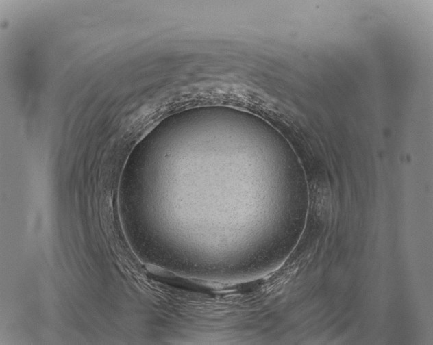 X0000062141489200512161204