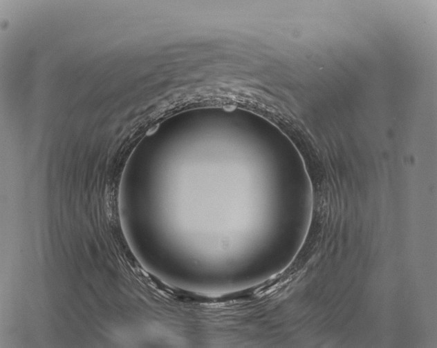 X0000062141490200512161204