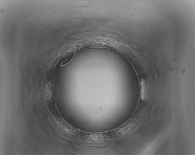 X0000062141491200512161204