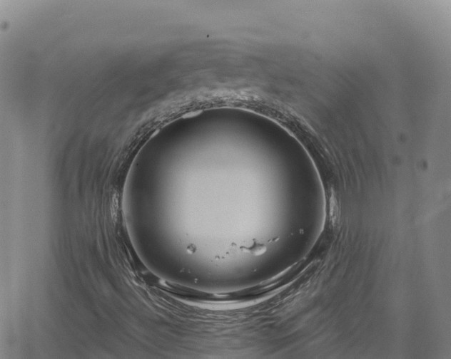 X0000062141492200512161204