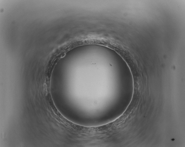 X0000062141493200512161204