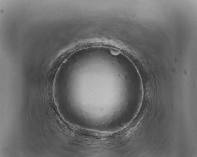 X0000062141494200512161204