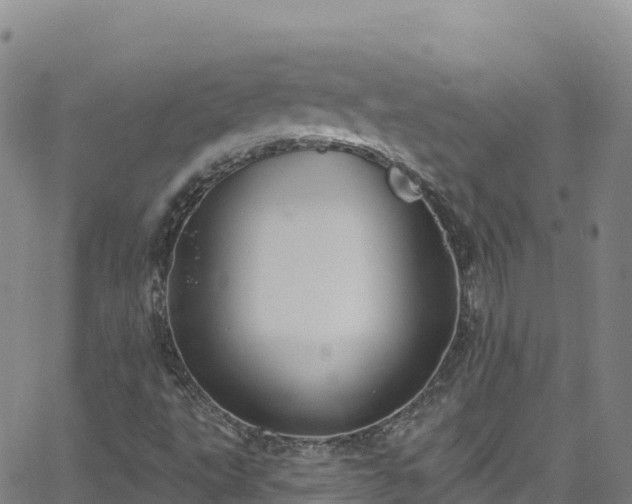 X0000062141495200512161204