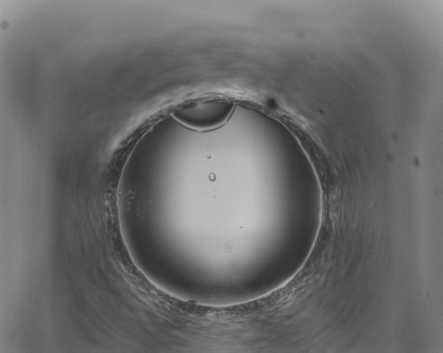 X0000062141496200512161204