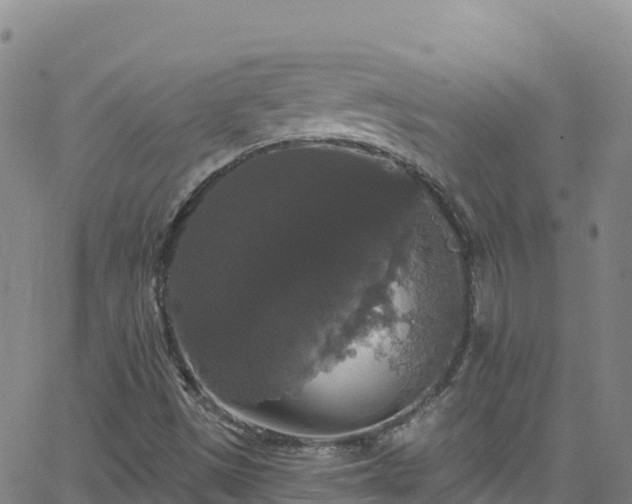 X0000062141497200512161204