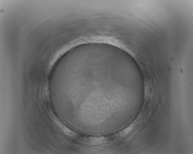 X0000062141498200512161204