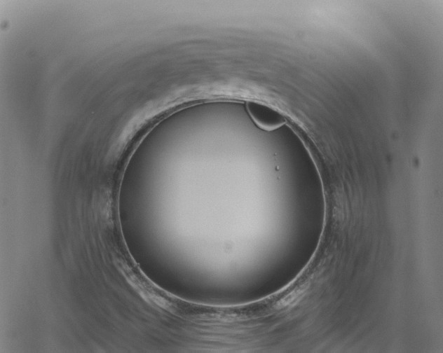 X0000062141499200512161204