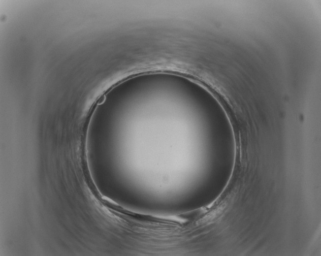 X0000062141500200512161204