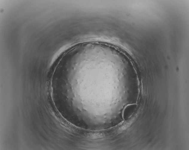 X0000062141501200512161204