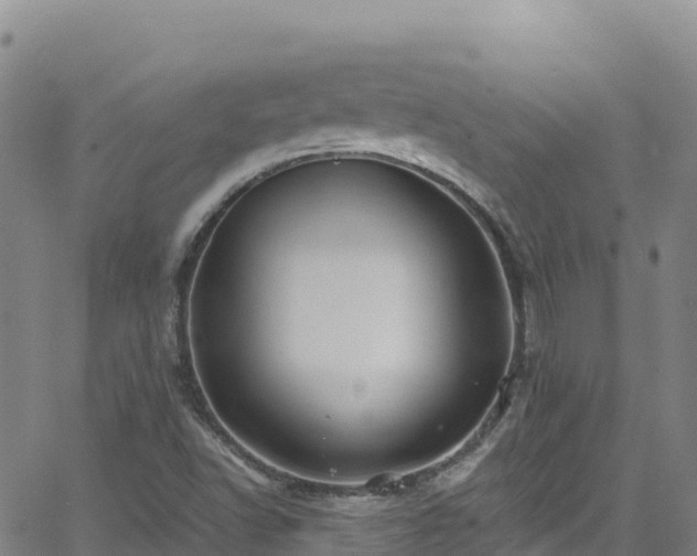 X0000062141502200512161204