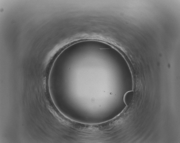 X0000062141503200512161204