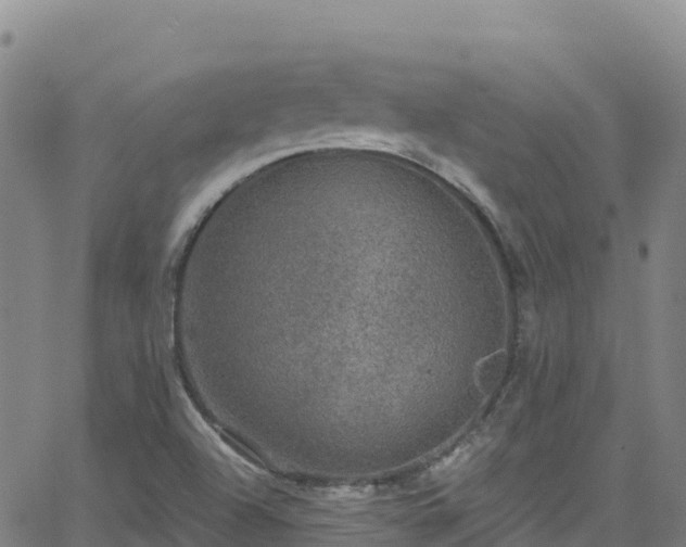 X0000062141504200512161204