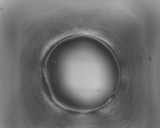 X0000062141507200512161204