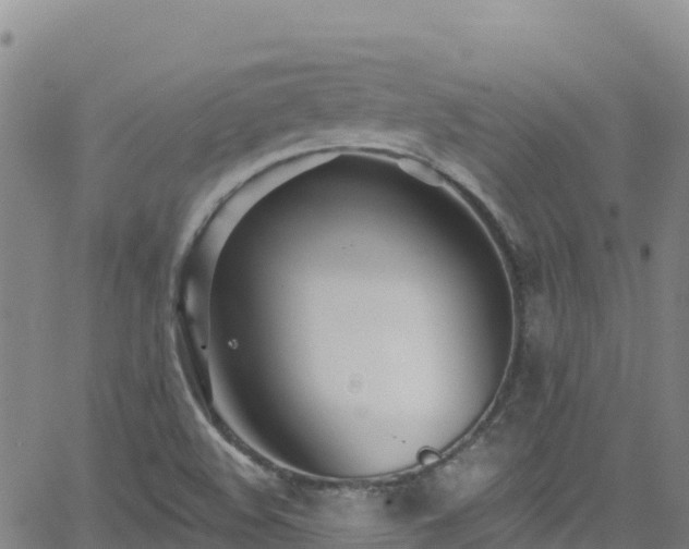 X0000062141508200512161204