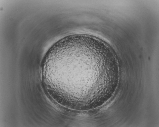 X0000062141509200512161204