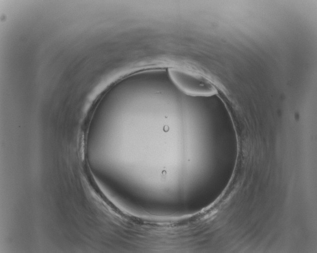 X0000062141510200512161204