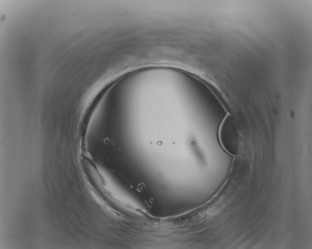 X0000062141511200512161204