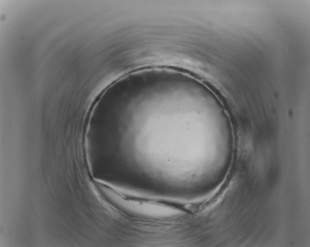 X0000062141513200512161204