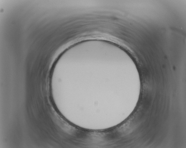 X0000062141514200512161204